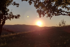 IMG_20210828_193817775_HDR